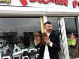 Türki̇yeni̇n En Güzel Toy Poodle Yavrulari Di̇şi̇ Erkek Ankara
