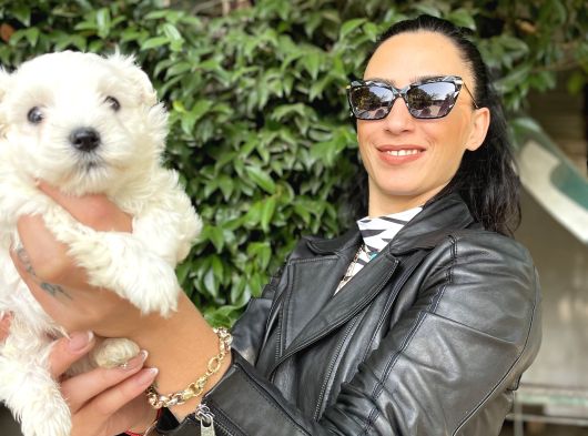 Maltese Yavrularım Sağlık Ve Irk Garantilidir görsel