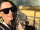 Cane Corso Yavrularım Sağlık Ve Irk Garantilidir