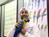 Full Eği̇ti̇mli̇ Konuşan Ara Macaw Papağanimiz