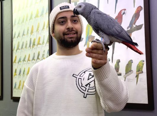 100 Keli̇me Konuşan Evci̇l Jako Papağanimiz