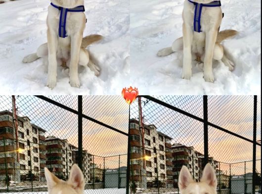 Ücretsiz Olarak Tokyo Ömürlük Yuvasını Bekliyor görsel