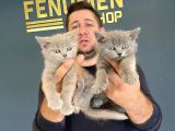 Kedi̇ci̇den Renk Renk British Shorthair Yavrulari Ankara