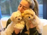 RUHSATLİ ÇİFLİKTEN MUHTEŞEM MALTİPOO YAVRULARI SİZLERİ BEKLİ