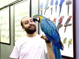 SARILACİVERT EĞİTİMLİ KONUŞAN MACAW PAPAĞANIMIZ