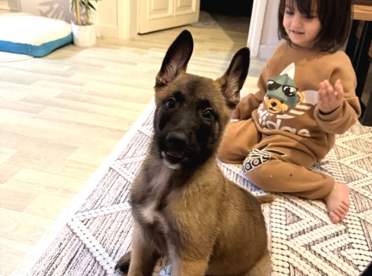 Zeki Güçlü Sadık görsel