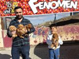 Renk Renk Orji̇nal Toy Poodle Yavrularimiz Güncel Ankara