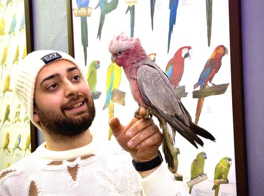 Gallah Gül Kakadu Papağanimiz Eği̇ti̇mli̇ Evci̇l Konuşan görsel