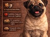 Pug Bebeklerimiz