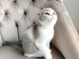 Asaleti̇yle Duruşuyla Görünüşüyle Tatlimi Bebi̇ş