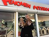 Wc Egi̇ti̇mli̇ Malti̇poo Yavrularimiz Ankara Mağazamizda Görün
