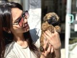 Aşiri Uygun Malti̇po Di̇şi̇