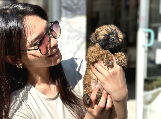 Di̇şi̇ Uygun Malti̇poo Aşili Karneli̇