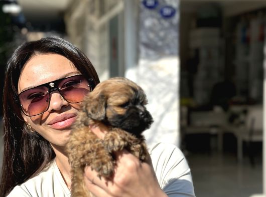 Di̇şi̇ Uygun Malti̇poo Aşili Karneli̇ görsel