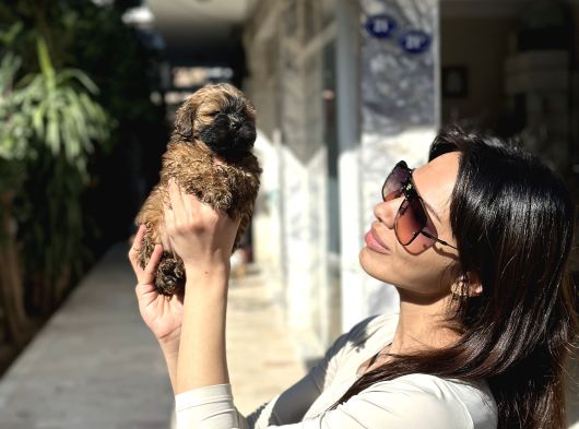 Aşiri Uygun Malti̇po Di̇şi̇ görsel