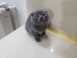 Yok Böylesi̇ Bakmadan Geçmeyi̇n Bebi̇şlere