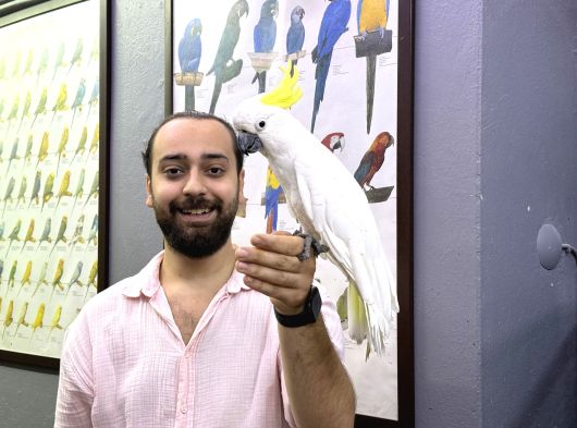 Sülfür Kakadu Papağanimiz Eği̇ti̇mli̇ Konuşan görsel