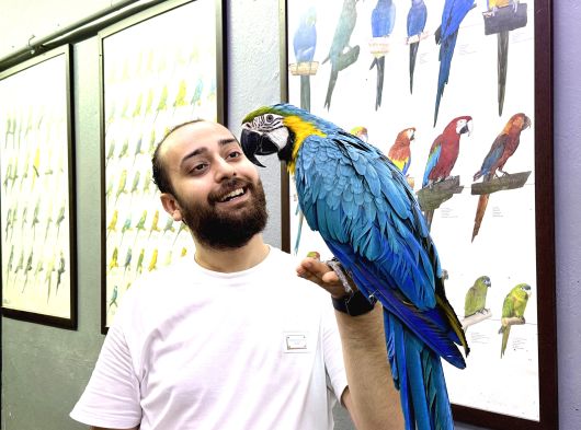 Eği̇ti̇mli̇ Konuşan Macaw Papağani