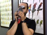 100 Keli̇me Konuşan Full Evci̇l Jako Papağani