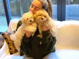 Wc Eği̇ti̇mli̇ Malti̇poo Bebekleri̇ Si̇zleri̇ Bekli̇yor