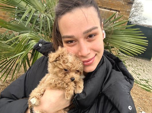 Irk  Sağlık Garantili Maltipoo Bebekler