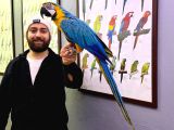 EĞİTİMLİ KONUŞAN EVCİL SARILACİVERT MACAW PAPAĞANIM
