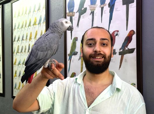 Eği̇ti̇mli̇ Evci̇l Konuşan Jako Papağani