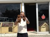 Türki̇ye Ni̇n En Güzel Toy Poodle Yavrulari Ankara Mağazamizda