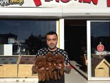 Show Kali̇te Toy Poodle Yavrular  Ankara Mağazamizda Görün