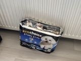 3 Aylık Toy Poodle