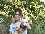 Özel Renk Border Collie Yavrusu
