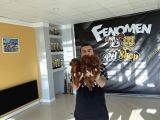 Renk Renk Orji̇nal Toy Poodle Yavrularimiz Güncel Ankara