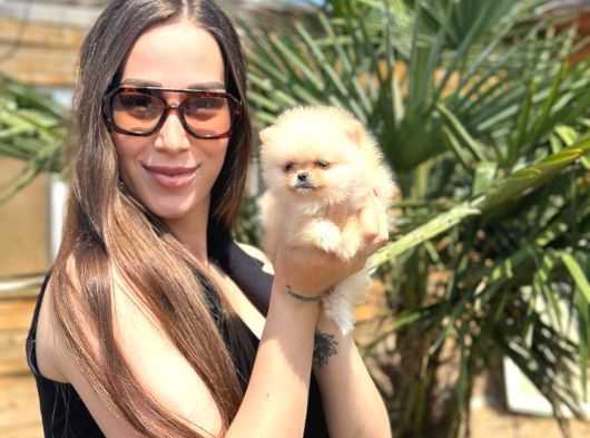 Sağlıklı ve Safkan Pomeranian Yavrular