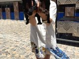 Labrador Retriver Yavrularım Sağlık Gara