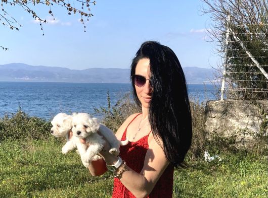 Maltese Yavrularım Sağlık Ve Irk Garan görsel