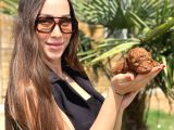 Göz Alıcı Güzellikte Toy Poodle Yavrular