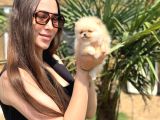 Sağlıklı Ve Safkan Pomeranian Yavrular