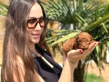Göz Alıcı Güzellikte Toy Poodle Yavrular