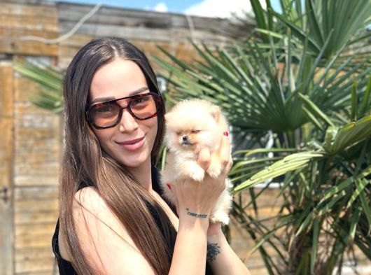 Teddy Face Pomeranian Yavruları görsel