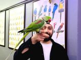 Full Evci̇l Eği̇ti̇mli̇ Konuşan Halkali Alexander Papağani