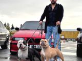 Yasal Son Yavru Bu Güne Özel Fi̇yat 25 Bin