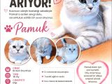 Aci̇l Yuva Ariyor  Pamuk