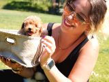 Türki̇yeni̇n En Özel Poodle Yavrulari Si̇zleri̇ Bekli̇yor