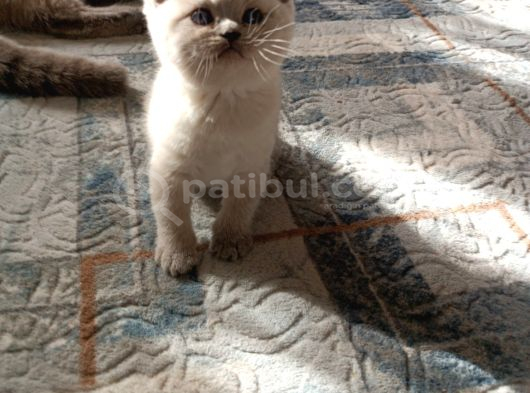 Sağlıklı Ve Oyuncu Bebek görsel