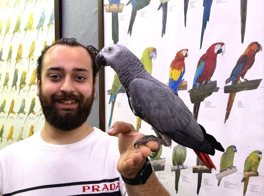 ÇOK KONUŞAN çok güzel EVCİL JAKO PAPAĞANI