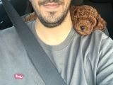 Çok Acil Lütfen Yardımcı Olunuz