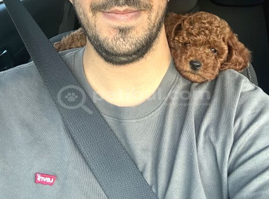 Çok Acil Lütfen Yardımcı Olunuz görsel