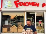 Wc Egi̇ti̇mli̇ Malti̇poo Yavrular Ankara Mağazamizda Canli Görün