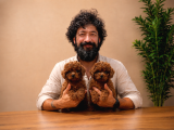 A Şecereli Toy Poodle Yavrularımız Sağlık ve ırk garantili