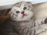 Mınık Güzeller Rezerveye Acıldı Mamak